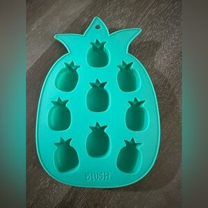 Blush Teal Pineapple Mold